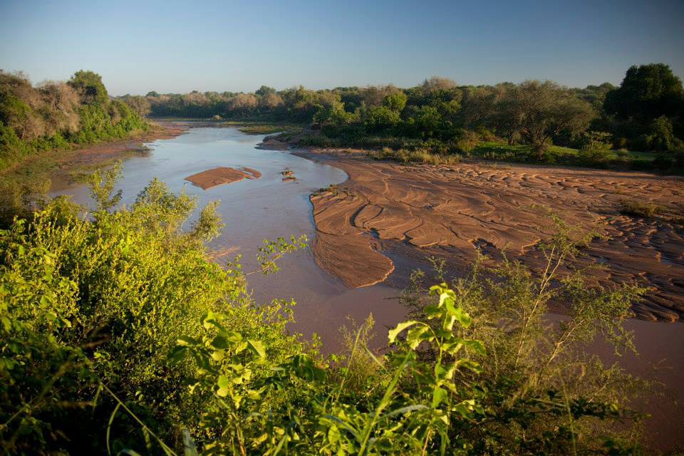 roger whittall safaris zimbabwe